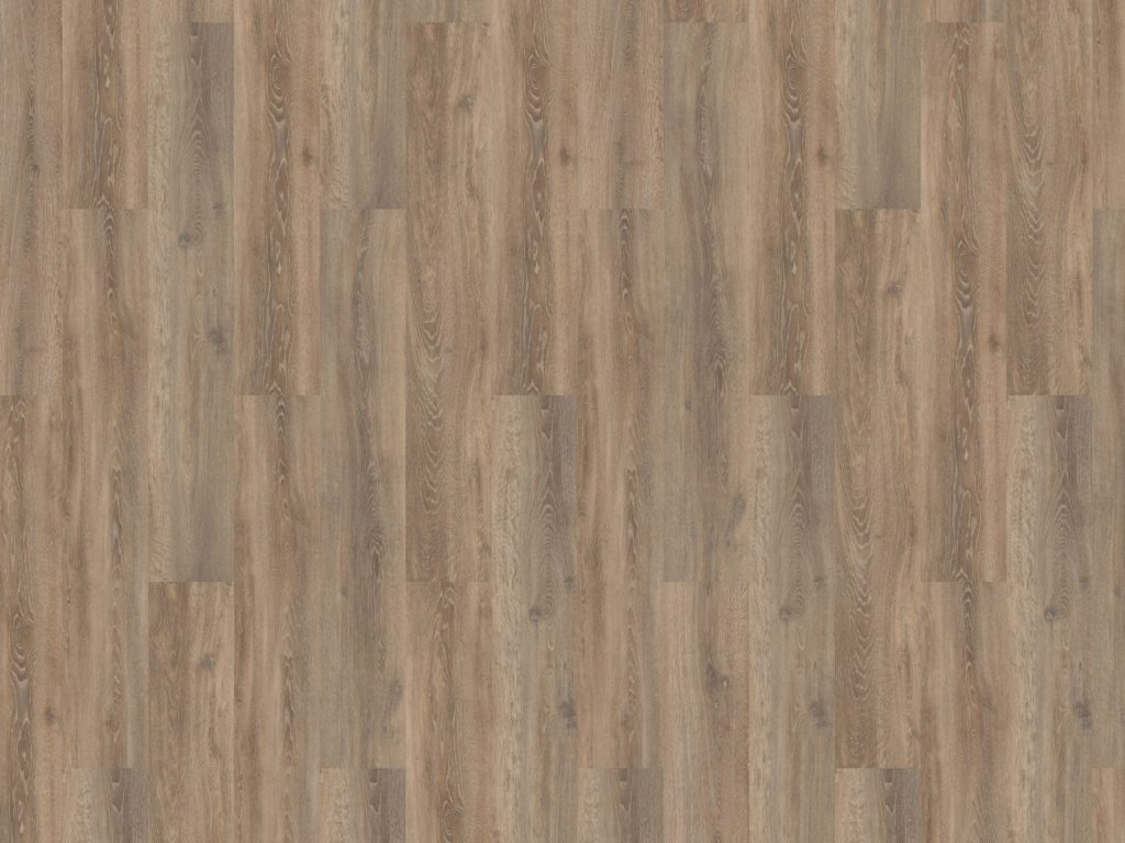 Authentic Oak XL Calabria Gluedown Vinyl Planke LVT