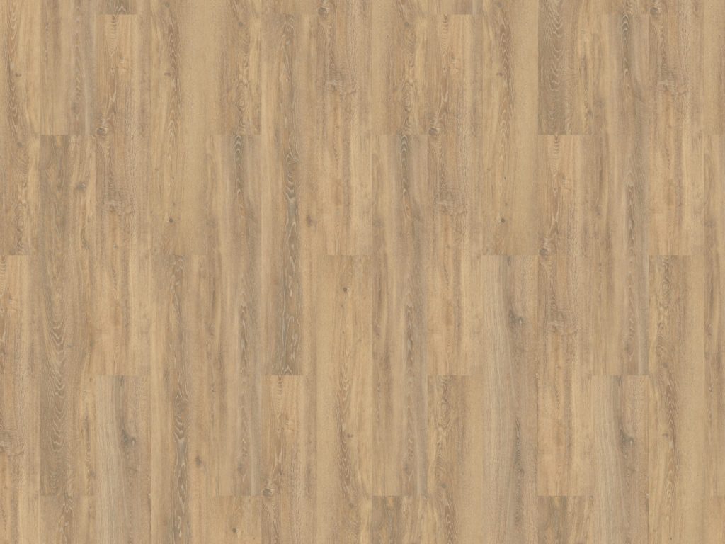 Authentic Oak XL Piedmont Gluedown Vinyl Planke LVT Authentic Oak XL Piedmont Gluedown Vinyl Planke LVT
