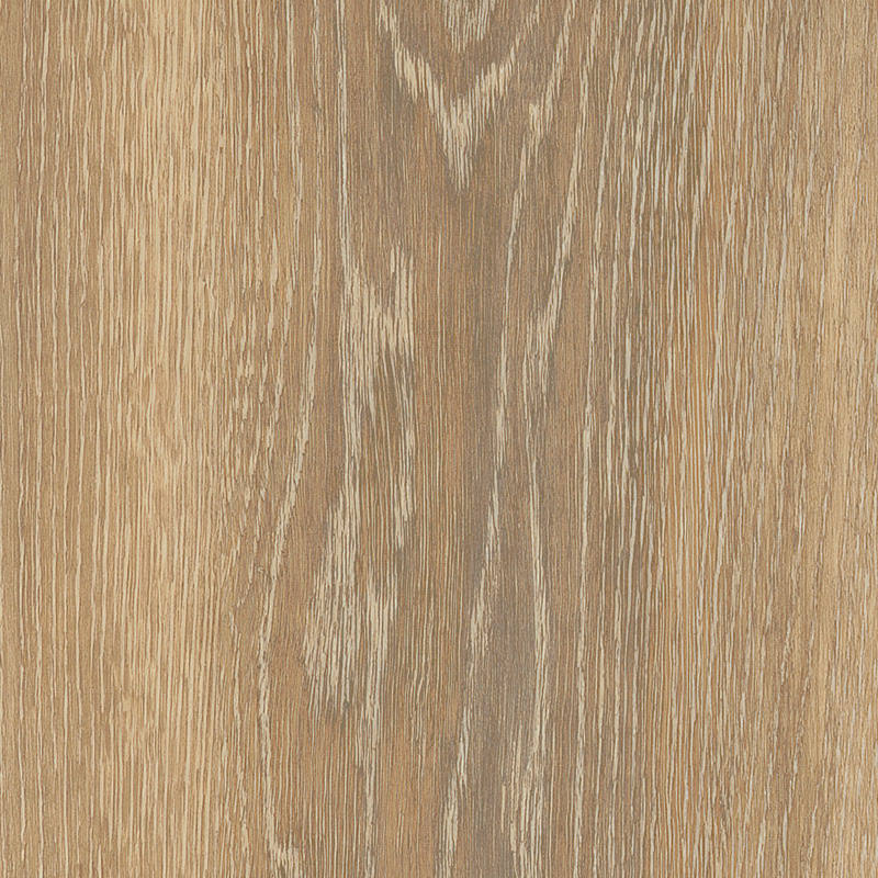 Authentic Oak XL Piedmont Gluedown Vinyl Planke LVT