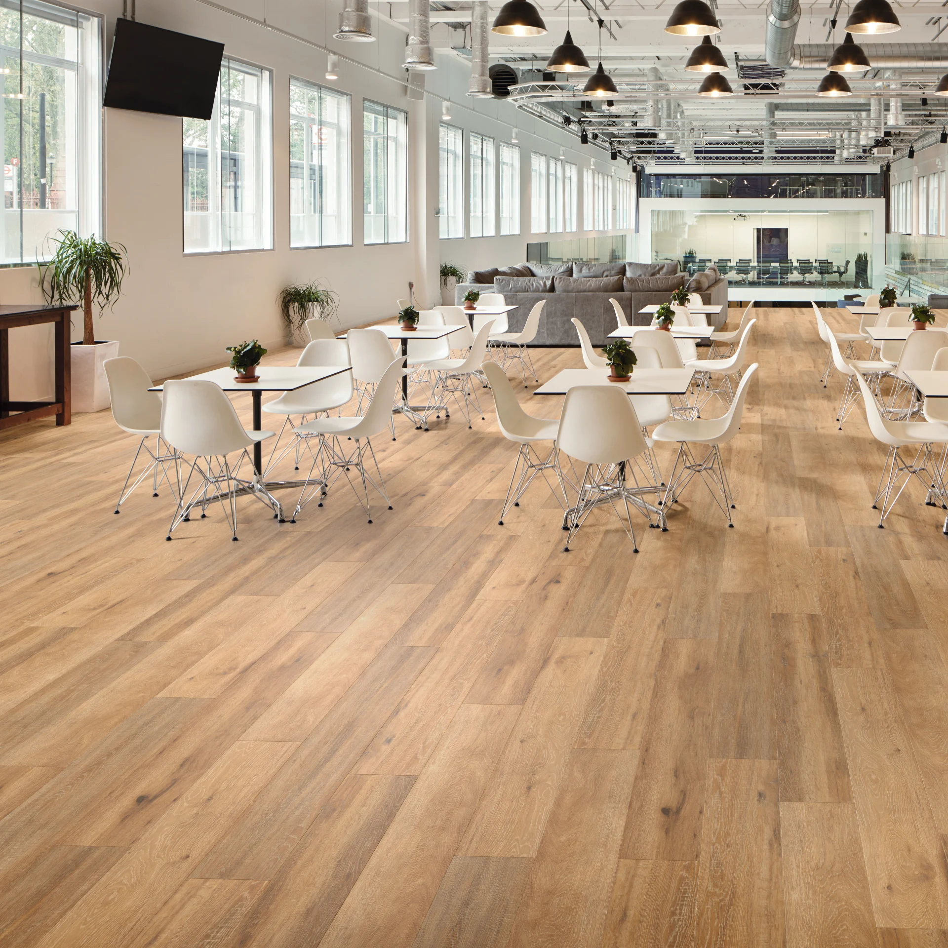 VAN GOGH Baltic Limed Oak zum Kleben