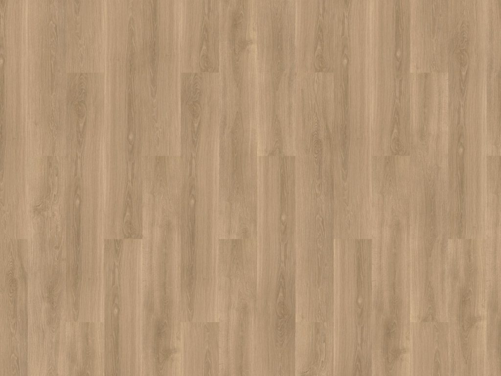 River Oak XL Tarn Gluedown Vinyl Planke LVT River Oak XL Tarn Gluedown Vinyl Planke LVT
