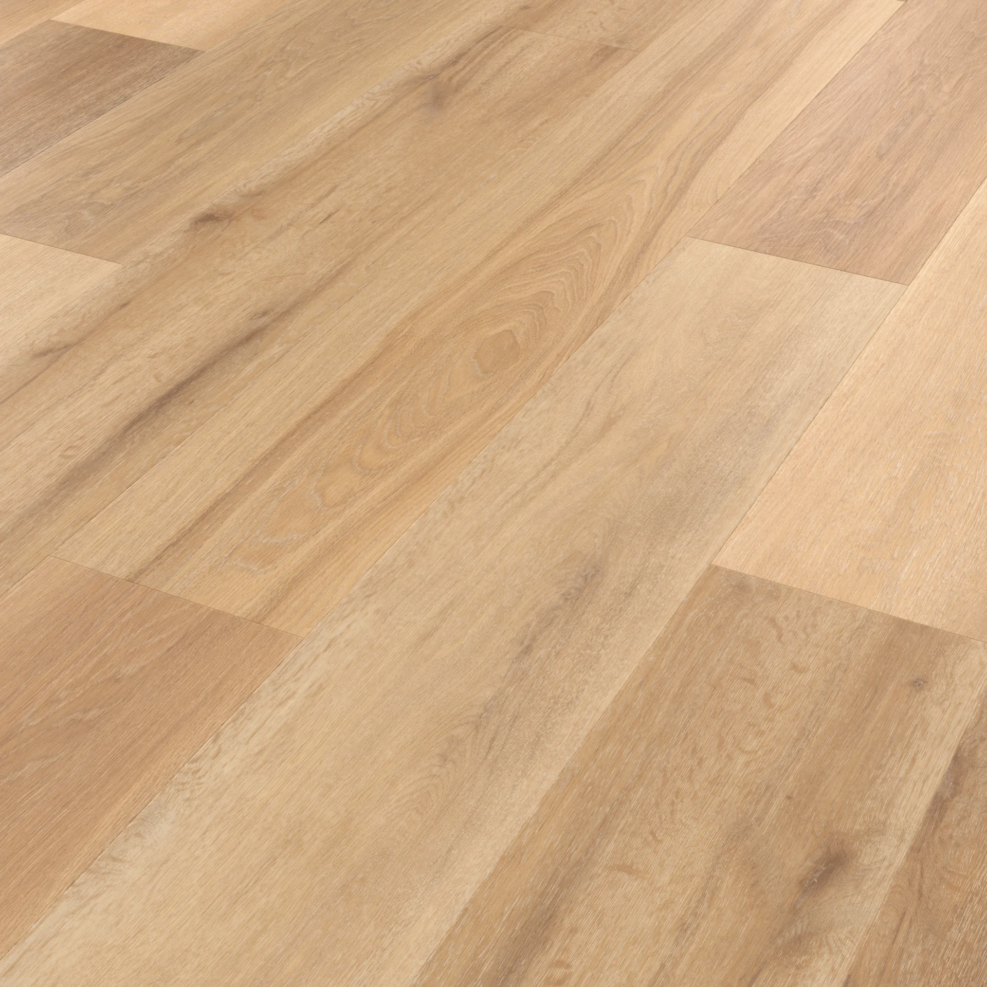 VAN GOGH Warm Ash zum Klicken VAN GOGH Warm Ash zum Klicken