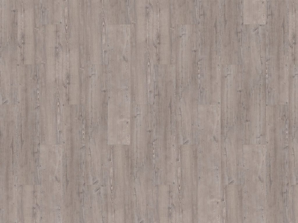 Argyll Fir Warferry Gluedown Vinyl Planke LVT