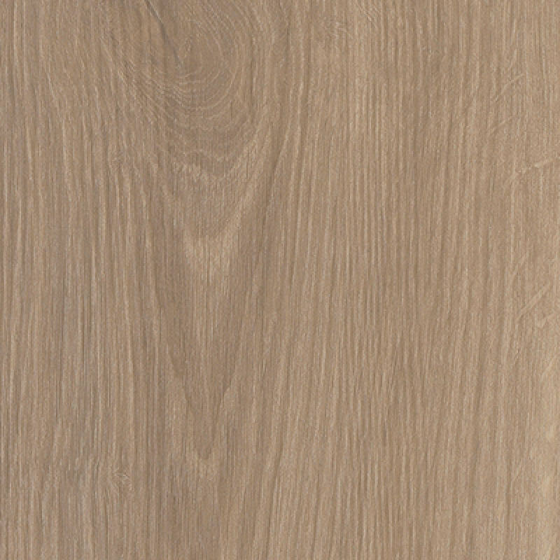 River Oak XL Rhone Gluedown Vinyl Planke LVT
