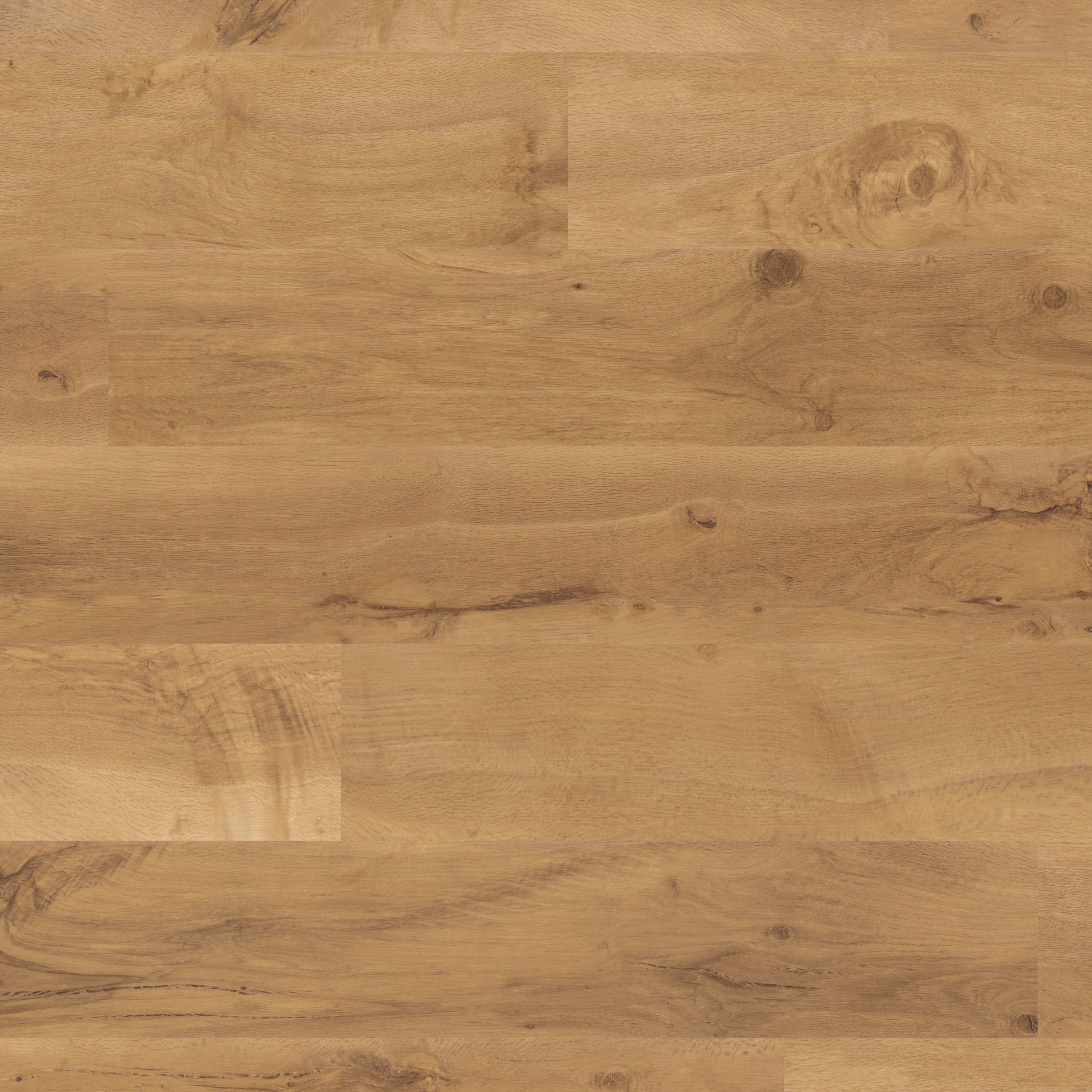 VAN GOGH Auckland Oak zum Kleben VAN GOGH Auckland Oak zum Kleben