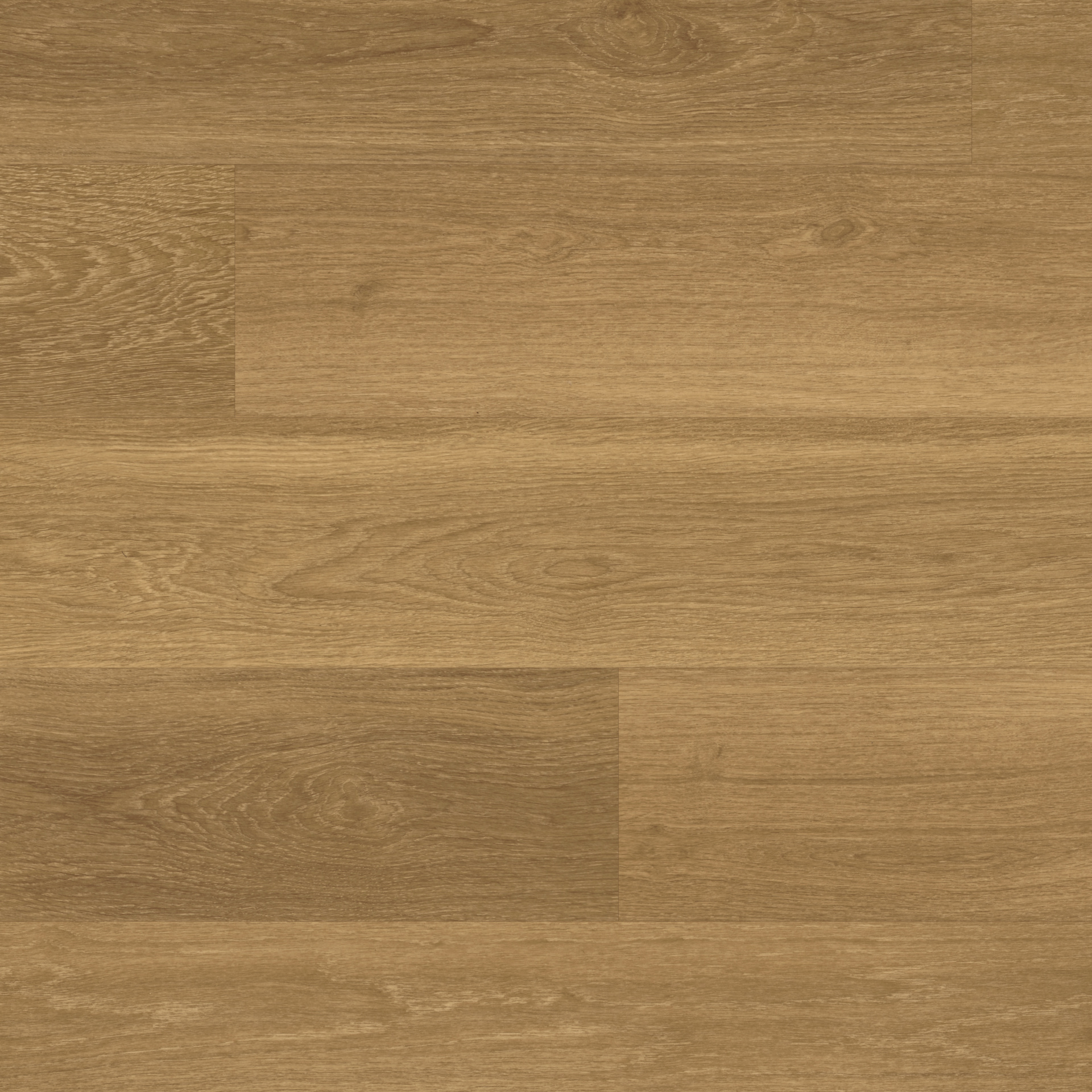 VAN GOGH Golden Brushed Oak zum Kleben VAN GOGH Golden Brushed Oak zum Kleben
