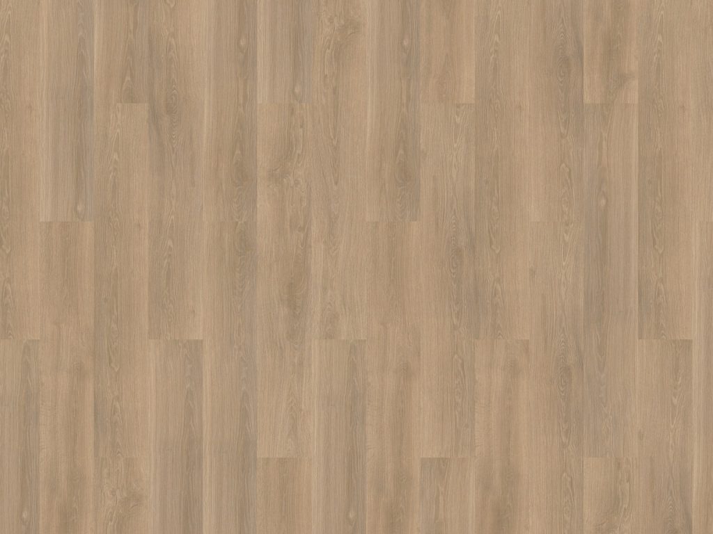 River Oak XL Rhone Gluedown Vinyl Planke LVT River Oak XL Rhone Gluedown Vinyl Planke LVT