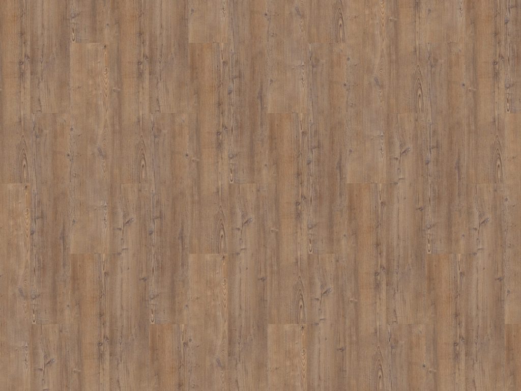 Argyll Fir Comerford Gluedown Vinyl Planke LVT
