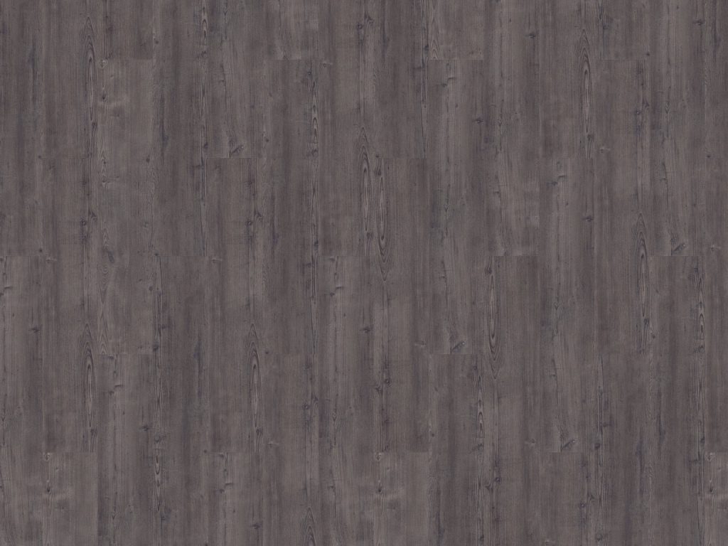 Argyll Fir Montrose Gluedown Vinyl Planke LVT Argyll Fir Montrose Gluedown Vinyl Planke LVT