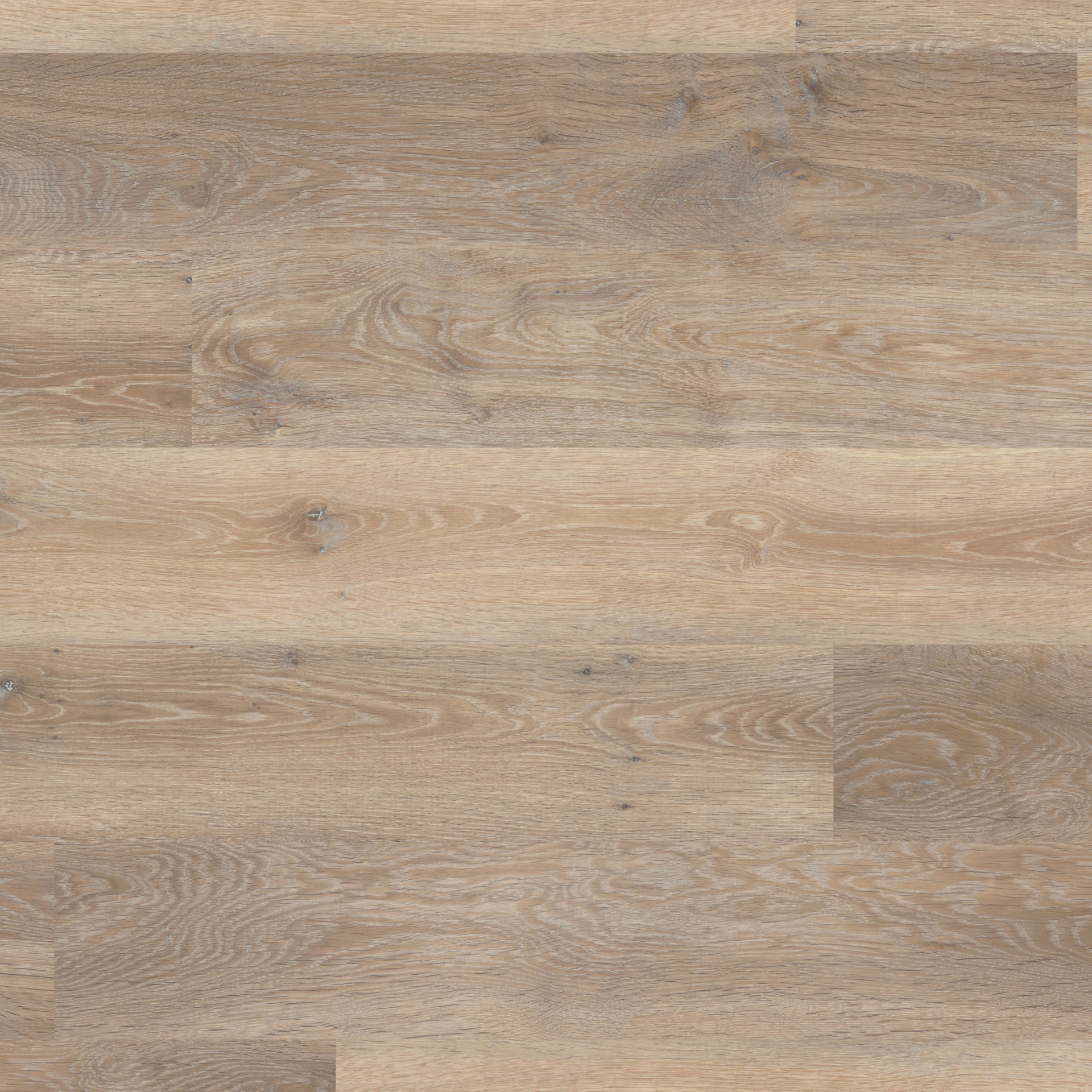 Rubens Wood Rose Washed Oak Planke zum Kleben