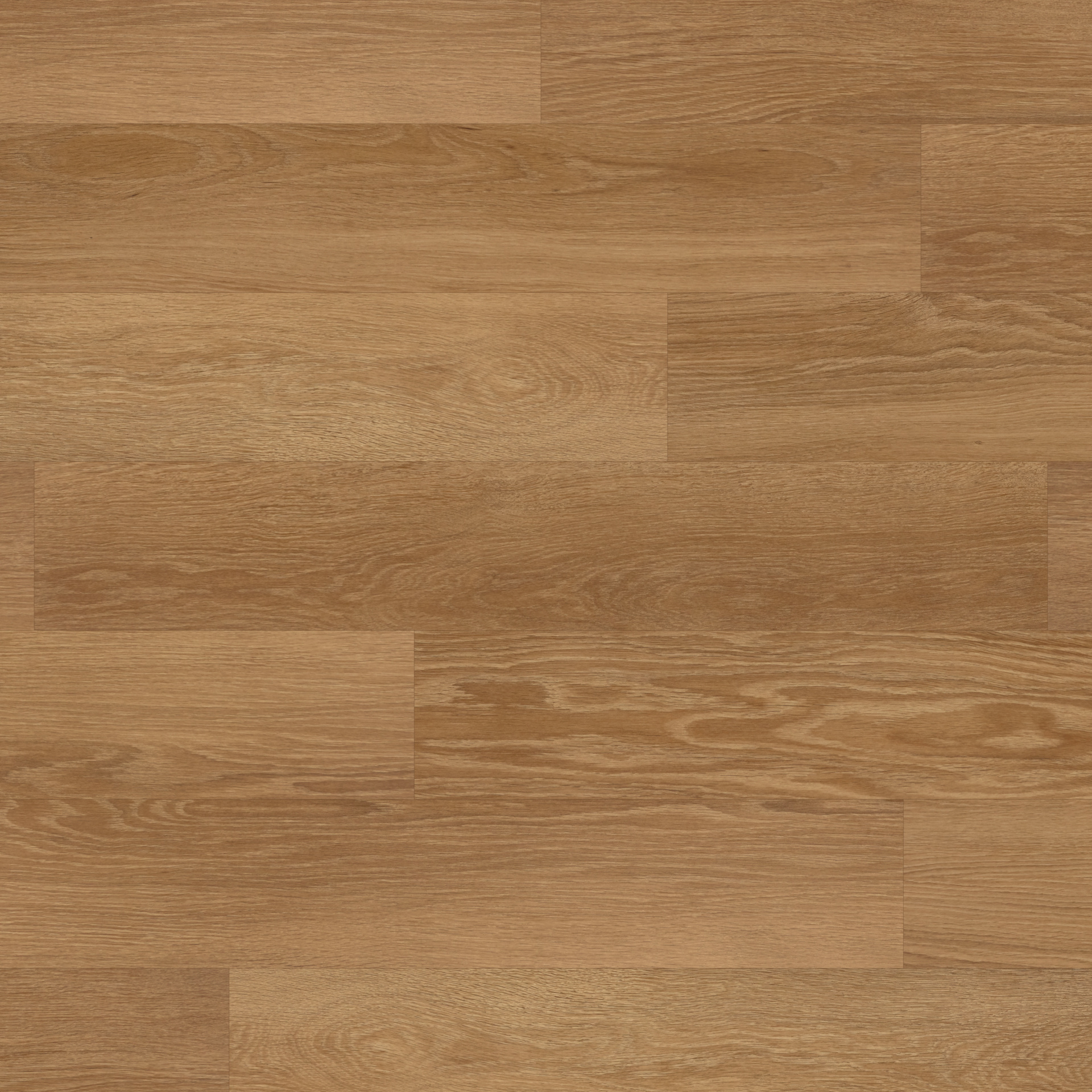 Rubens Wood Honey Limed Oak Planke zum Kleben