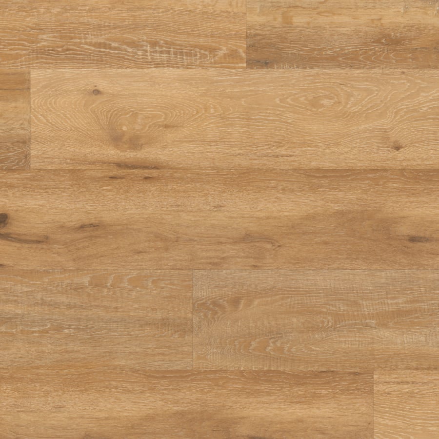 VAN GOGH Baltic Limed Oak zum Kleben