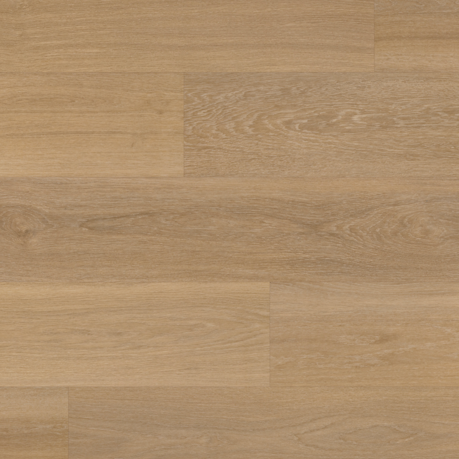VAN GOGH Warm Brushed Oak zum Kleben