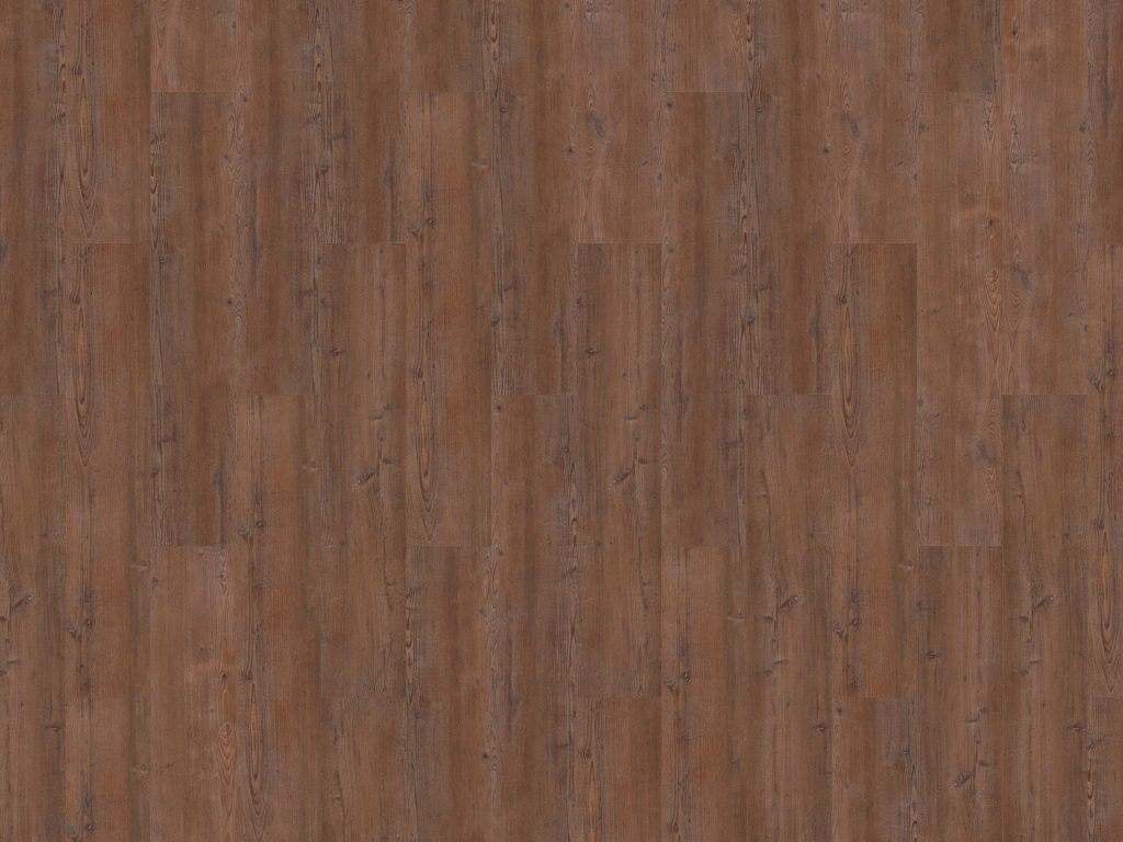 Argyll Fir Serrano Gluedown Vinyl Planke LVT